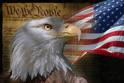 American flag and bald eagle