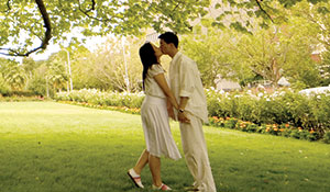 Love under the tree