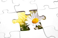 puzzle and flower