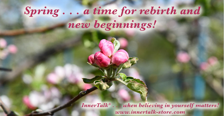Spring by InnerTalk